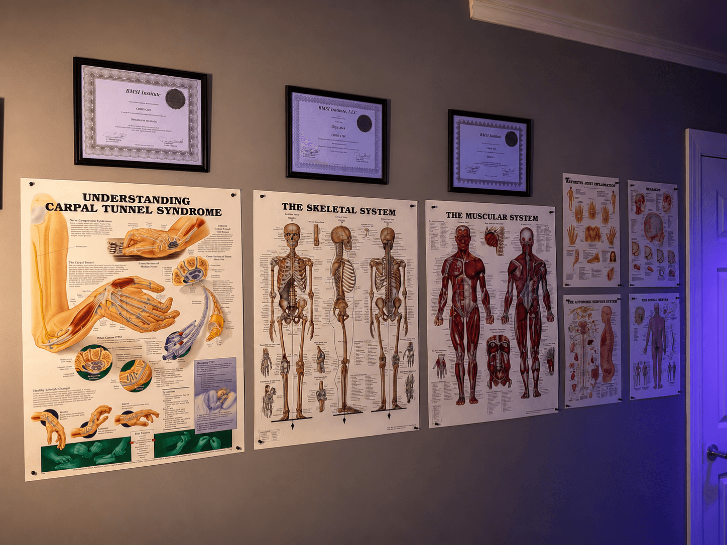 Anatomy charts and massage training certificates on the wall at Muscle Movement and Improvement