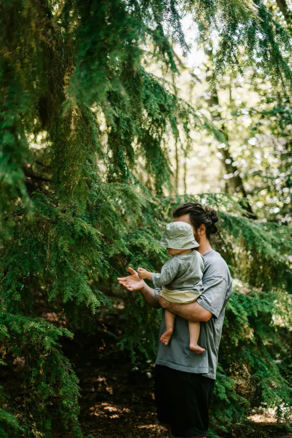 Parent holding a young child beneath evergreen trees